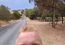 Rowcroft ‘Tumbelin’ down Lavender Trail