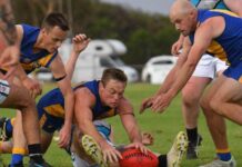 Roos ready to jump on Cats