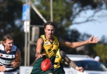 Skills beginning to show