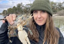 Crayfish not ‘extinct’