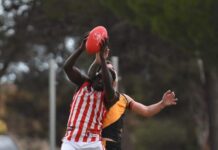 Cats, Bluds tipped for wins