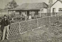 Get a dose of history