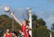 Tigers claw back for win