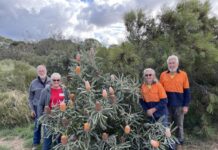 Discover what’s on in the Murraylands