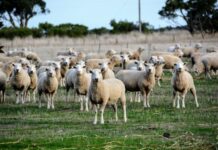 Concern as budget nears