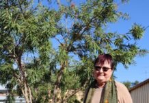 Teacher retires after 50 years