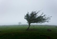 Murraylands hit with cyclonic winds