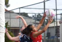 Around the netball courts