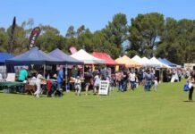 Callington show celebrates 20 years