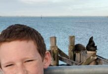 Back to the battle for Liam