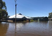 New plans for river rebuilds