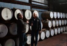 Ready to discover cellar treasures