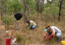 Growing grassroot communities