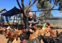 Farm sanctuary ‘furever’