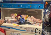 Little Leo needs your help