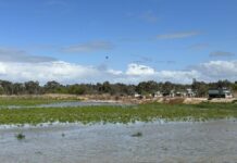 Winds blamed for levee breaches