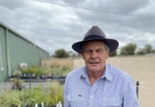 Spring’s green thumb