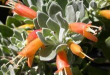 WAB group visits ‘Bridge