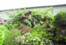 Pencil in free green waste days