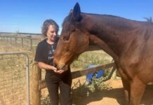 No to the race that stops a nation