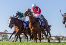 DeMichele’s delight with Cup runner