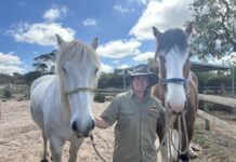 Enjoy a ride like no other