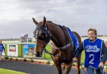 Jaensch’s youngest ‘old man’