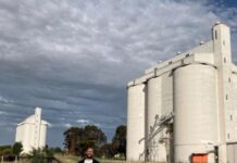 Silo art trail new addition