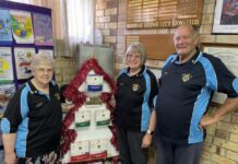 Care a little this Christmas