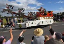 Discover what’s on in the Murraylands