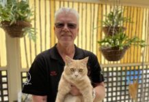 Policing our local cats