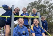 Fencing, protecting our children