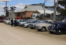 Collectors celebrate Sandalwood century