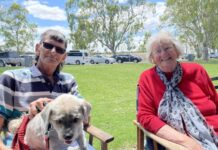 Christmas fun for everyone