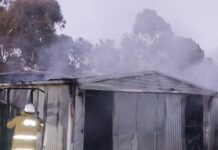 Callington shed fire