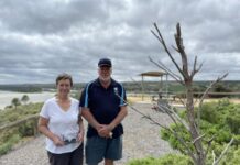 Blue branches of support