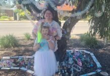 Fairy tree village rebuilt