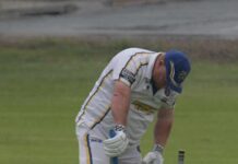 Mullets roll the dice