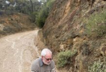 Sunnyside options on table