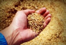 No changes to Harvest Code