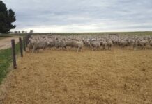 Another step in biosecurity