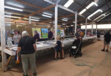 Mannum show preparation