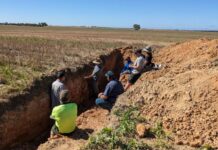 Unearth soil health secrets