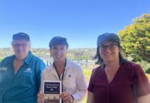 History, views of the ‘Bridge