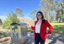 Be wary of European wasps