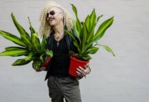 ‘Bridge gardens with style