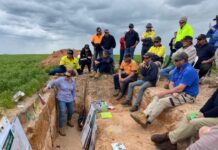 Sandy soils show potential