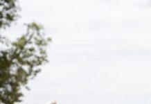 Workbenching support