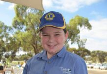 Young lion’s heart of gold