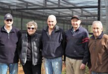 Mallee emu-wren success